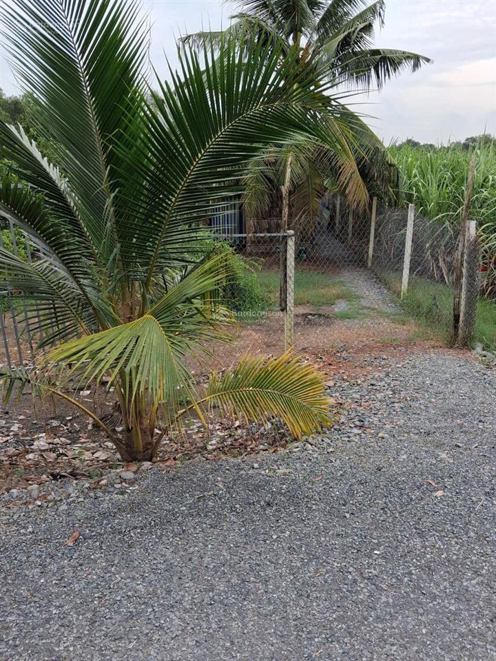 Bán nhà vườn nghỉ dưỡng 1000m2 thích thiện hòa, bình chánh 3,7 tỷ