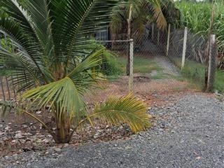 Bán nhà vườn nghỉ dưỡng 1000m2 thích thiện hòa, bình chánh 3,7 tỷ
