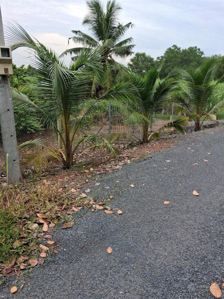 Bán nhà vườn nghỉ dưỡng 1000m2 thích thiện hòa, bình chánh 3,7 tỷ