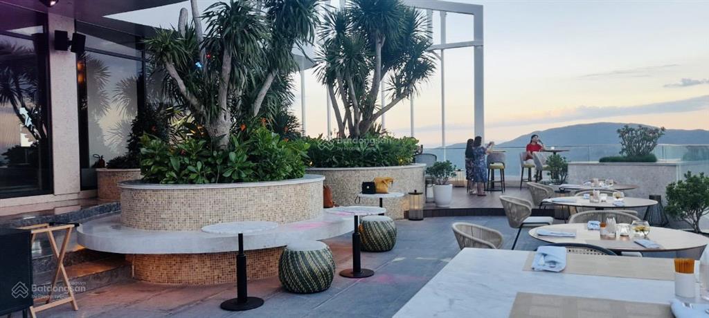 Cho thuê căn hộ tms luxury hotel  tầng cao view trực diện biển quy nhơn giá rẻ t7/2026