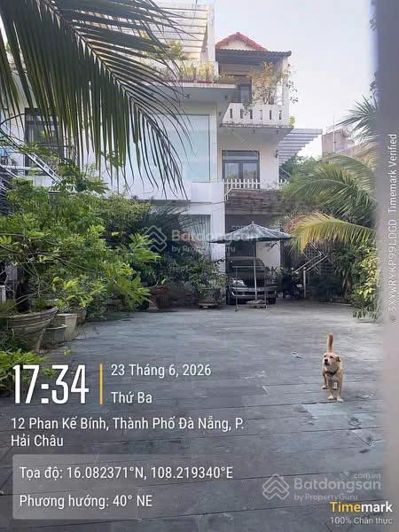 Bán biệt thự 14, phan kế bính, 25 tỷ, 386 m2, pháp lý đầy đủ
