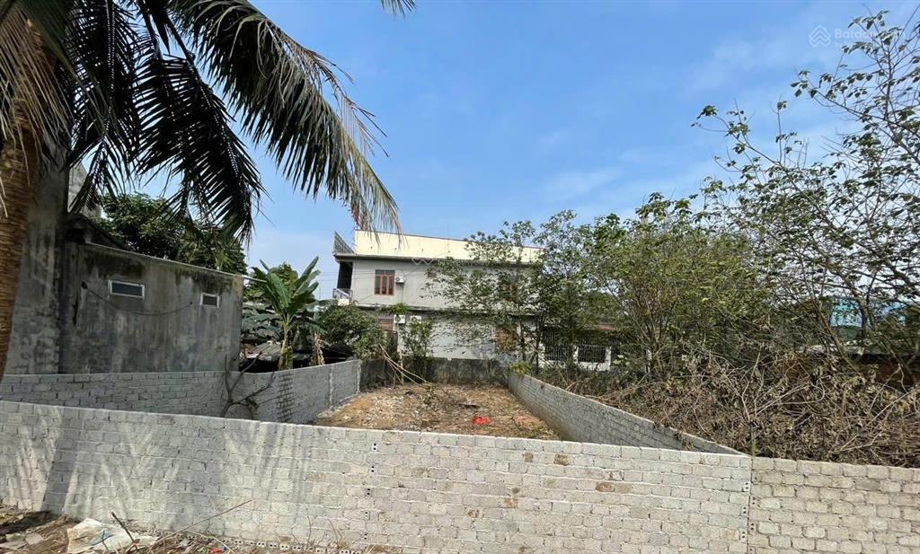 Bán gấp đất thổ cư chính chủ tại phường hải ninh, thị xã nghi sơn, tỉnh thanh hóa