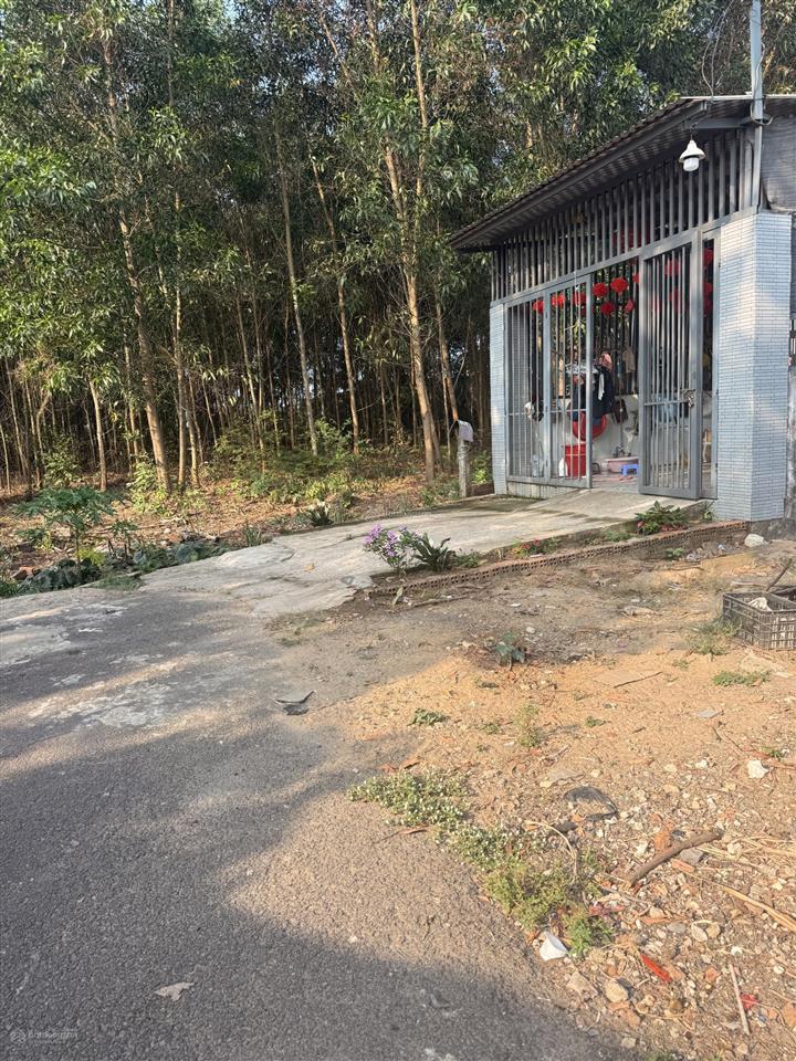 Sổ chung cc, có thổ cư chung nguyên lô 115m2