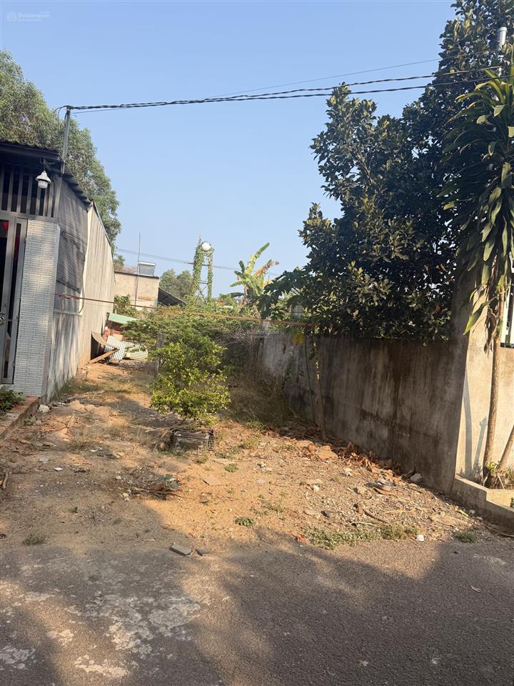 Sổ chung cc, có thổ cư chung nguyên lô 115m2