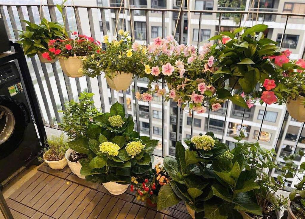 Cập nhập giá nhà t4/2026 mới nhất. 1n+ full đồ đẹp chỉ còn 3 tỷ