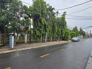 Đất nhà vườn mặt tiền đường nhựa lộ giới 20m.