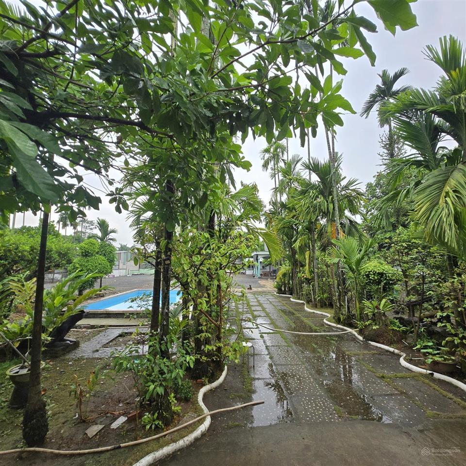 Đất nhà vườn mặt tiền đường nhựa lộ giới 20m.