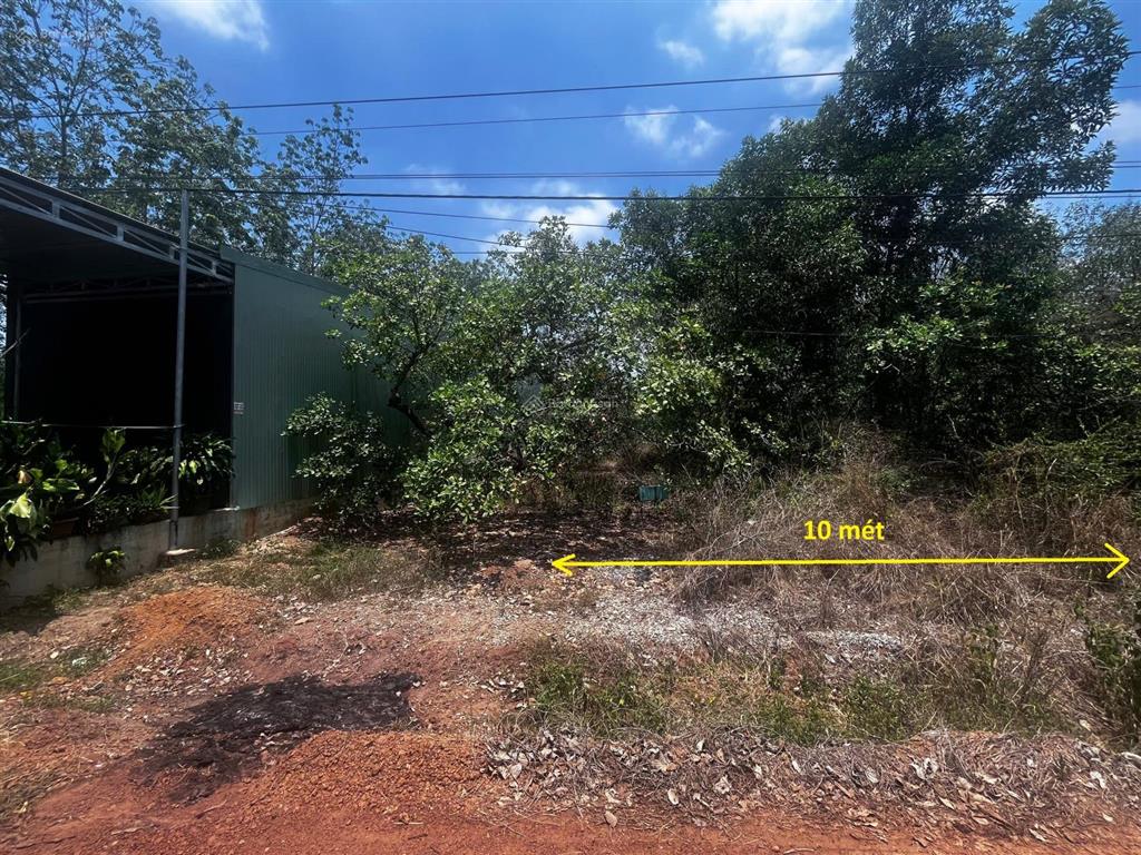 428m2 cln tại ấp 6, tân thành, đồng xoài, bình phước.