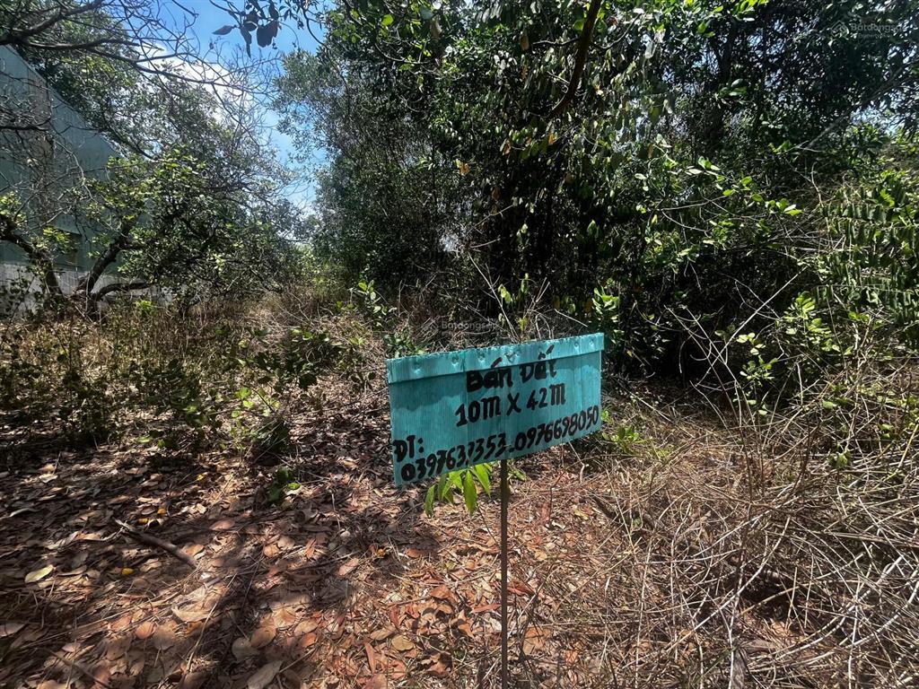 428m2 cln tại ấp 6, tân thành, đồng xoài, bình phước.