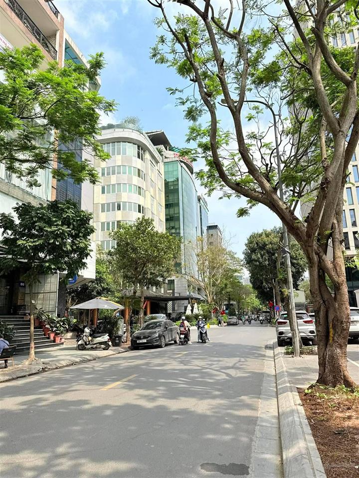 [dừng lại 2s] mặt phố hồ tây dt 225m2, mt 8.5m, 2 mặt tiền, vị trí vàng xây building, nhỉnh 80 tỷ.