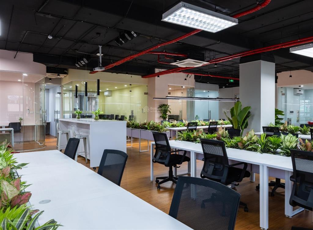 [siêu phẩm building hạng a] mặt phố xuân la dt 300m2, mt 15m x 9 tầng nguy nga, dòng tiền 6 tỷ/năm