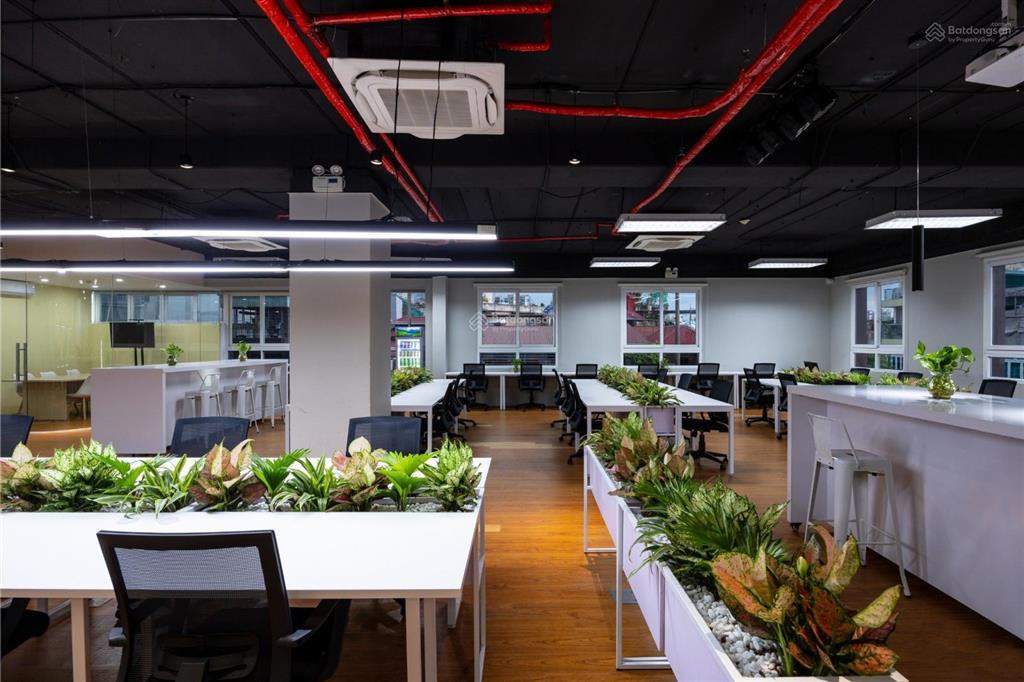 [siêu phẩm building hạng a] mặt phố xuân la dt 300m2, mt 15m x 9 tầng nguy nga, dòng tiền 6 tỷ/năm
