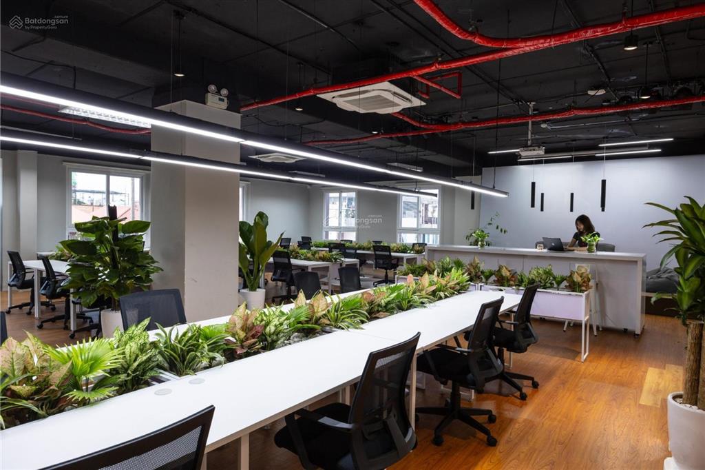[siêu phẩm building hạng a] mặt phố xuân la dt 300m2, mt 15m x 9 tầng nguy nga, dòng tiền 6 tỷ/năm