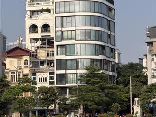 Bán mặt phố phan kế bính tâm điểm đầu tư khách sạn diện tích 240m mặt tiền 14.