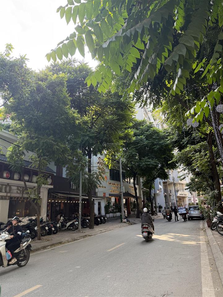 Siêu phẩm đất mặt phố linh lang ba đình diện tích 230m mặt tiền rộng 14m. vị trí và