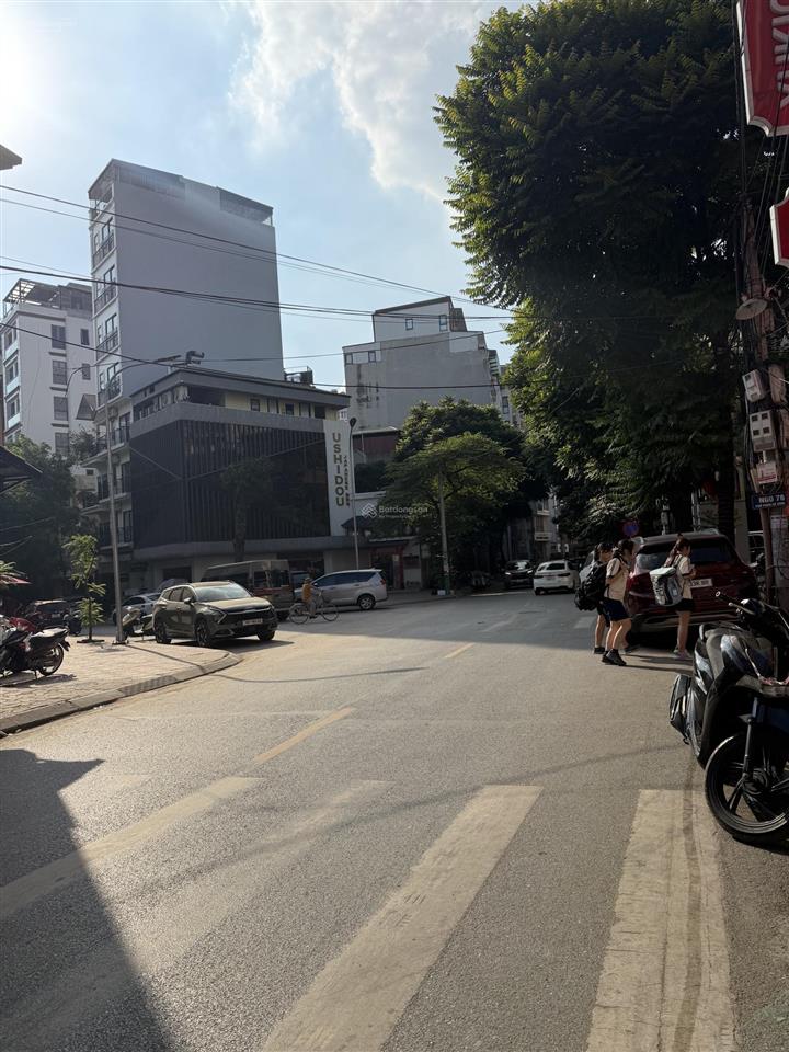 Siêu phẩm đất mặt phố linh lang ba đình diện tích 230m mặt tiền rộng 14m. vị trí và