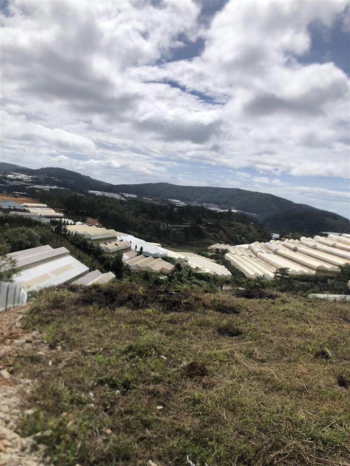 Bán đất tại thôn măng lin, 9,8 tỷ, 990 m2, giá cực chất