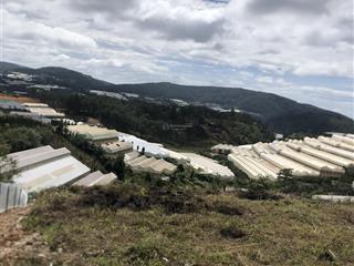 Bán đất tại thôn măng lin, 9,8 tỷ, 990 m2, giá cực chất