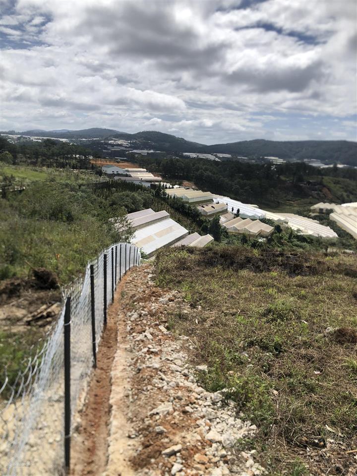 Bán đất tại thôn măng lin, 9,8 tỷ, 990 m2, giá cực chất