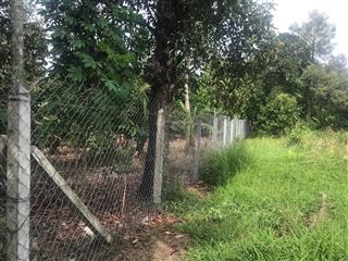 Bán đất vườn có thổ cư. 467m2 đất vườn cây lâu năm, trong đó có 100m2 đất ont để tiện xây nhà vườn