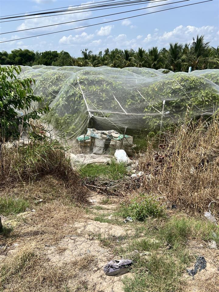 Chính chủ cần bán lô đất cách tỉnh lộ 908 vào 200m giá chỉ 380 triệu cho 350m2