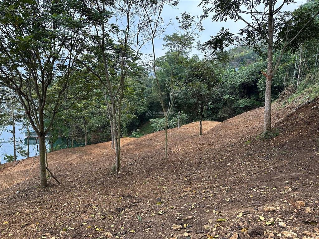 Cần chuyển nhượng hơn 9000 m2 đất thổ cư bám hồ hòa bình gần 200 m tại cảng ngòi hoa tân lạc
