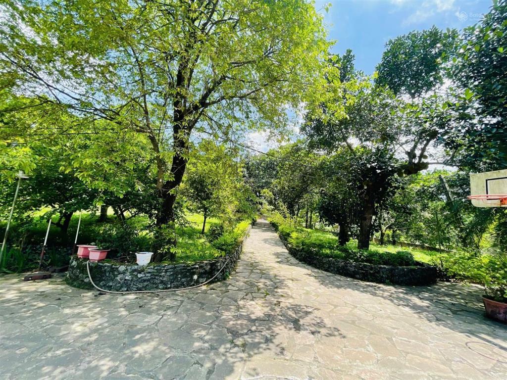 Cần bán 13000 m² khu nghỉ dưỡng tại lương sơn phú thọ