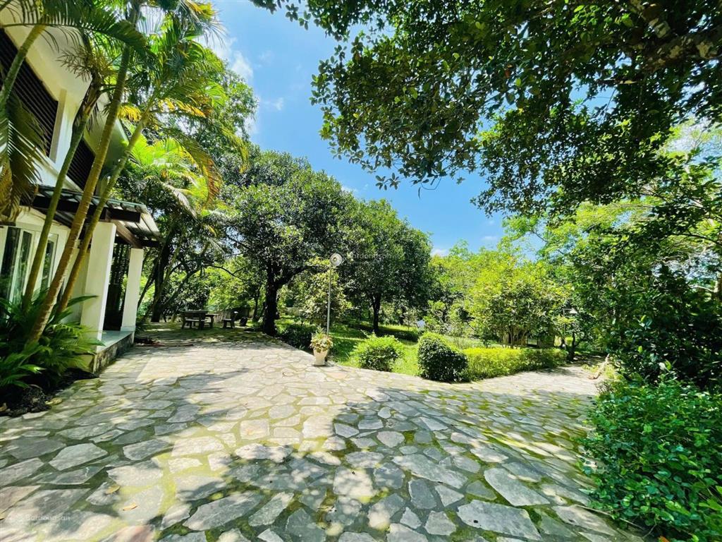 Cần bán 13000 m² khu nghỉ dưỡng tại lương sơn phú thọ