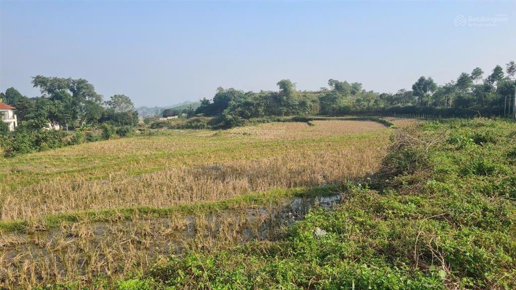 Cần chuyển nhượng 23000 m² đất làm sinh thái tại lương sơn, phú thọ