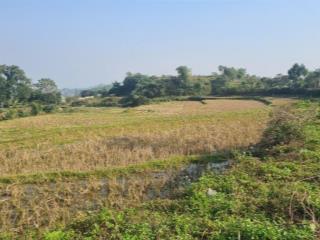 Cần chuyển nhượng 23000 m² đất làm sinh thái tại lương sơn, phú thọ