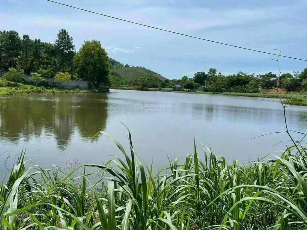 Cần bán 4700 m² đất bám hồ tại yên bài ba vì hà nội