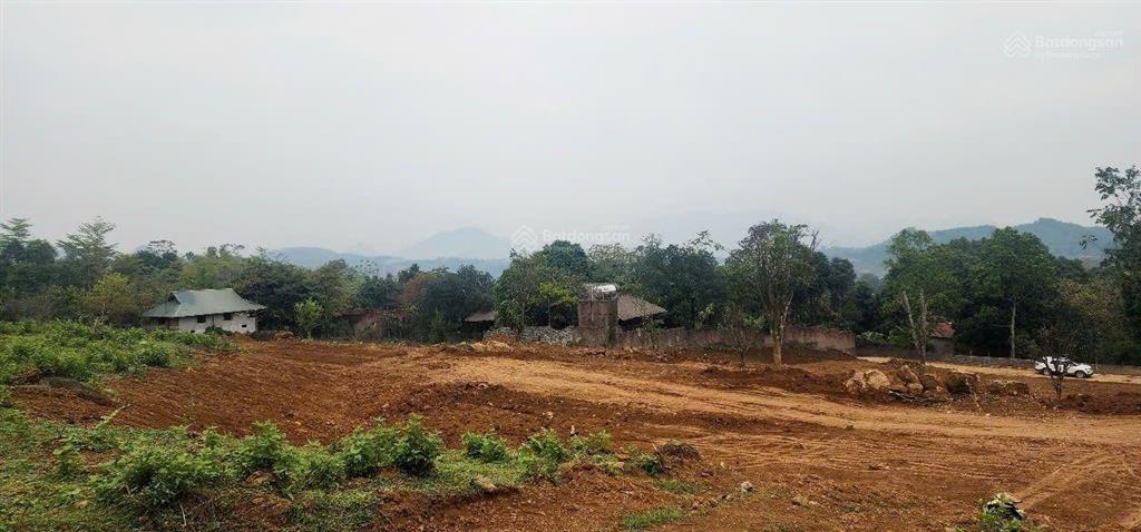 Cần bán 4,4 ha đất trang trại nghỉ dưỡng tại lương sơn hòa bình
