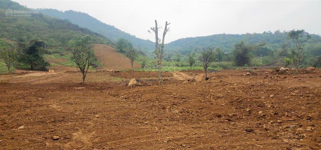 Cần bán 4,4 ha đất trang trại nghỉ dưỡng tại lương sơn hòa bình