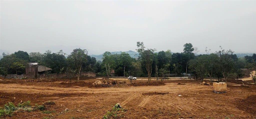 Cần bán 4,4 ha đất trang trại nghỉ dưỡng tại lương sơn hòa bình