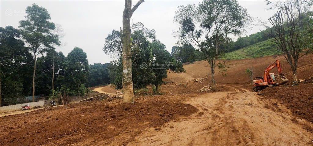 Cần bán 4,4 ha đất trang trại nghỉ dưỡng tại lương sơn hòa bình