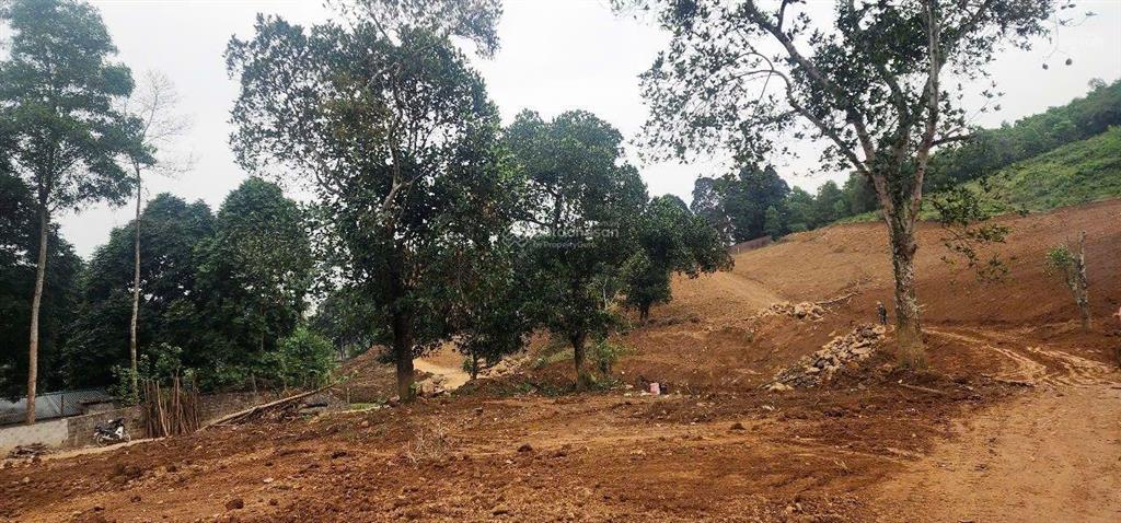 Cần bán 4,4 ha đất trang trại nghỉ dưỡng tại lương sơn hòa bình