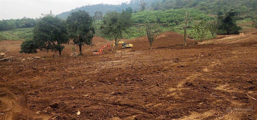 Cần bán 4,4 ha đất trang trại nghỉ dưỡng tại lương sơn hòa bình