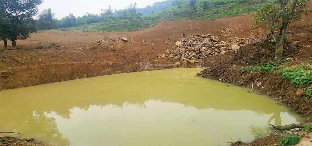 Cần bán 4,4 ha đất trang trại nghỉ dưỡng tại lương sơn hòa bình