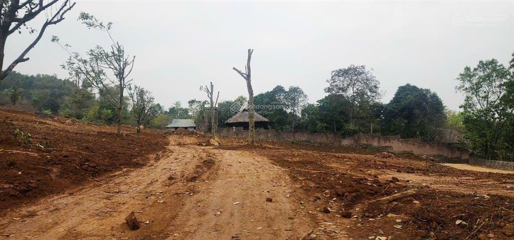 Cần bán 4,4 ha đất trang trại nghỉ dưỡng tại lương sơn hòa bình