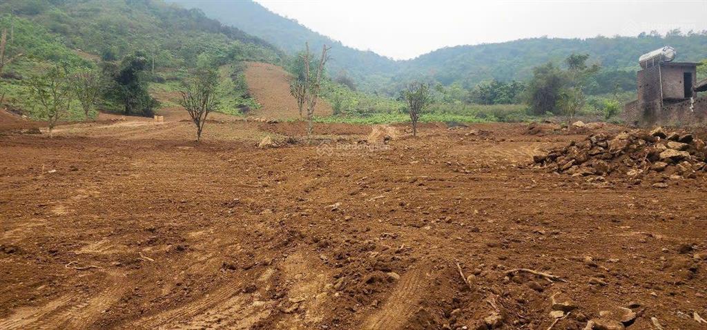 Cần bán 4,4 ha đất trang trại nghỉ dưỡng tại lương sơn hòa bình