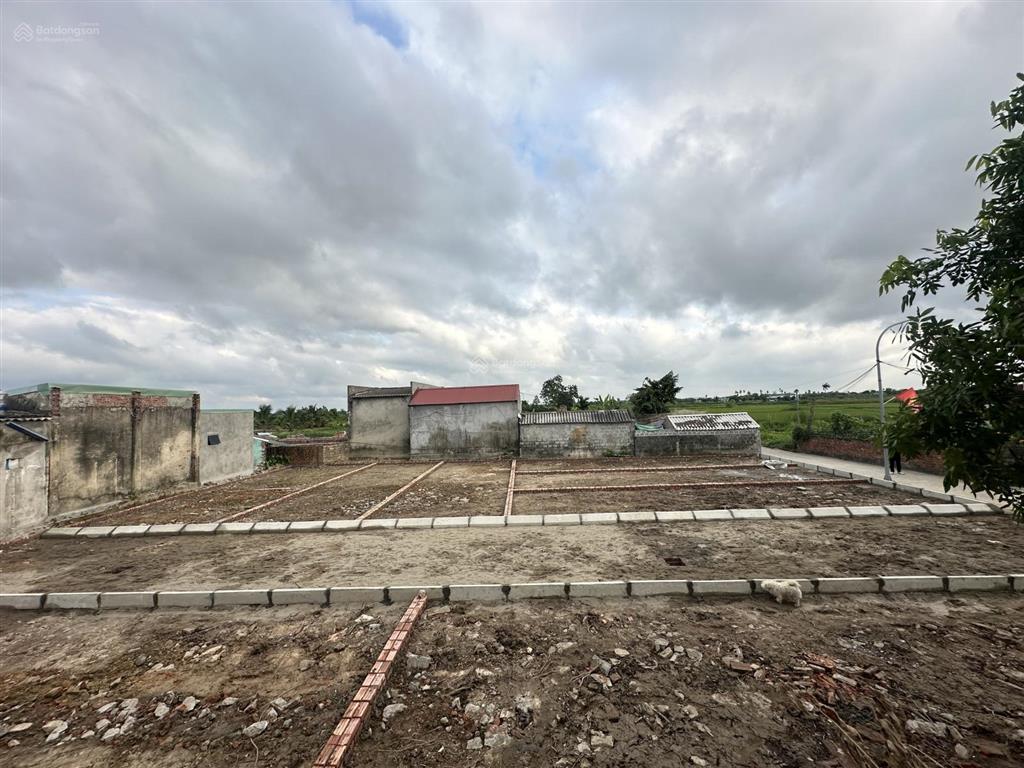 Bán gấp đất tại đt 360, tân dân, an lão, hải phòng, 600 triệu, 70 m2