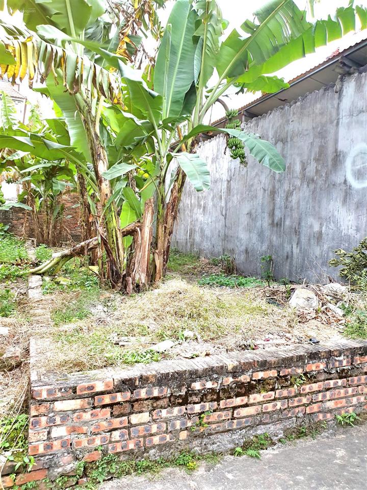Chính chủ cần tiền bán gấp đất lệ chi glâm, 63m2, 3.x tỷ sổ đỏ chính chủ, giá tốt, 0981 406 ***