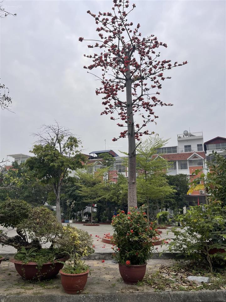 Bán dn tại pg an đồng, 5,4 tỷ, 215m2, view đẹp xuất sắc