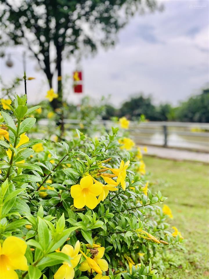 Nhà view phố park riverside  liên phường q9  3pn 3wc  nt đẹp bv 247 