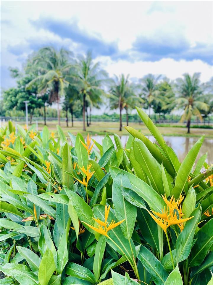 Nhà view phố park riverside  liên phường q9  3pn 3wc  nt đẹp bv 247 