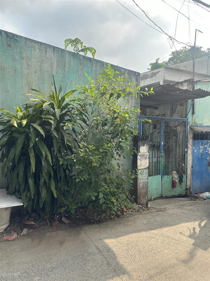 Bán nhà gấp 10 phòng trọ , đã bị xuống cấp nhiều , mua phải làm lại hết.