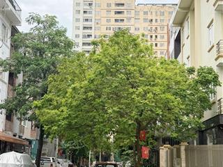 Giảm sâu 2 tỷ! bán nhà ngay kđt văn khê, hà đông vị trí đẹp, 2 thoáng gara ôtô full nội thất xịn