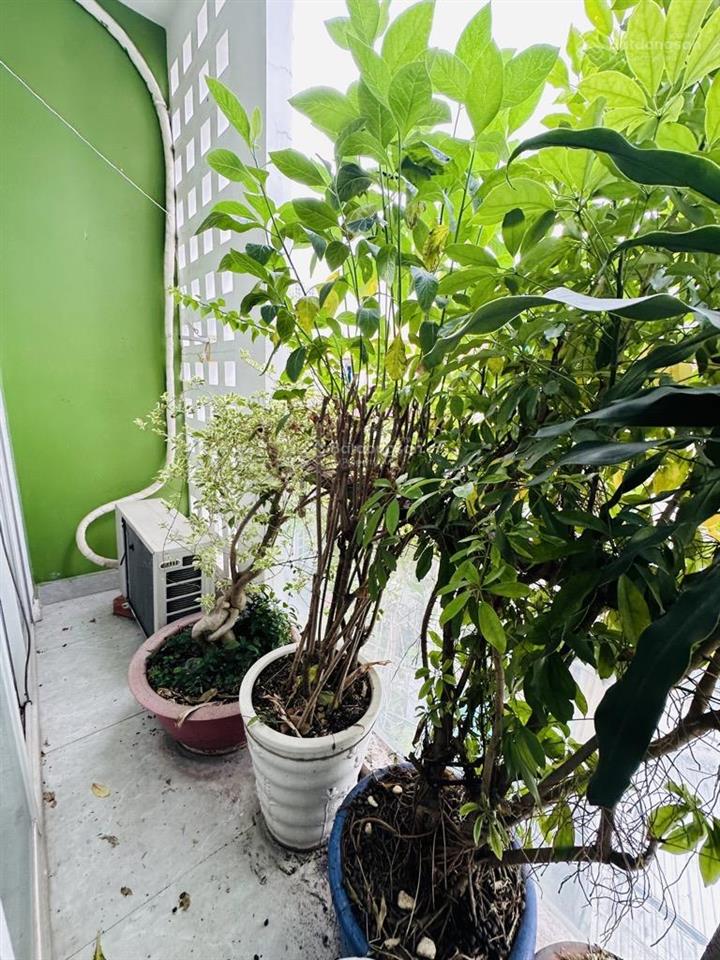 40m2  hẻm xe hơi  khu cư xá  5 tầng btct  chỉ hơn 8 tỷ