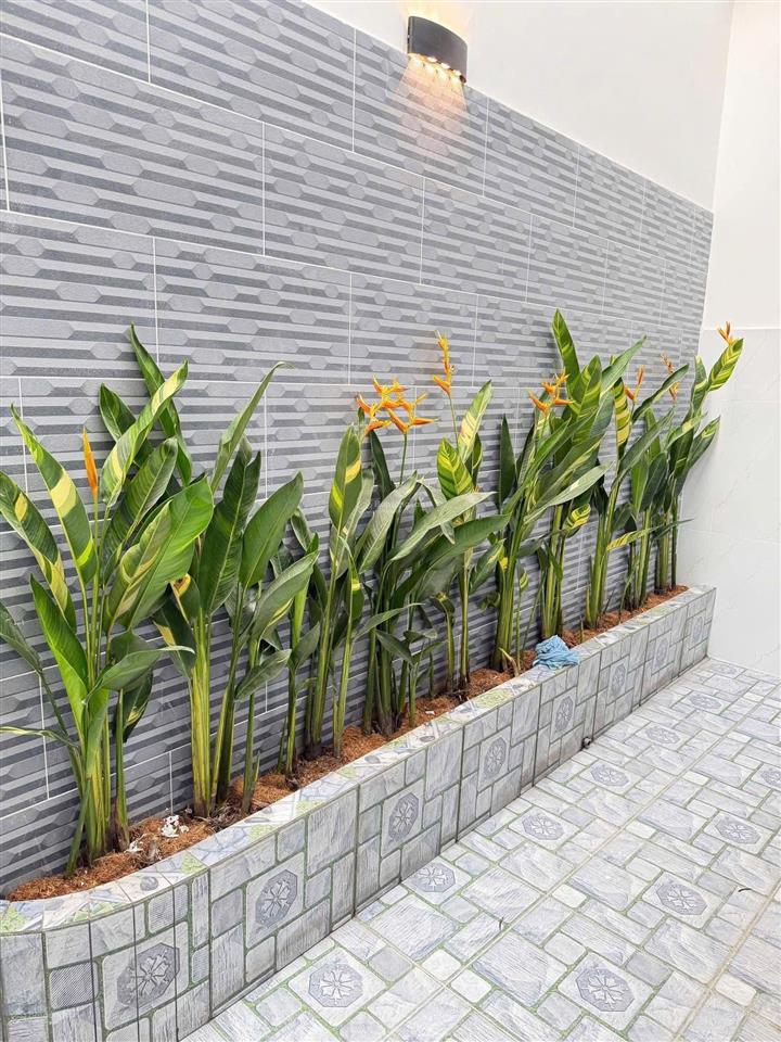 Villa mini shr góc 2 mt / liên khu 45 , phường bình hưng hoà b bình tân. dt 6*13m