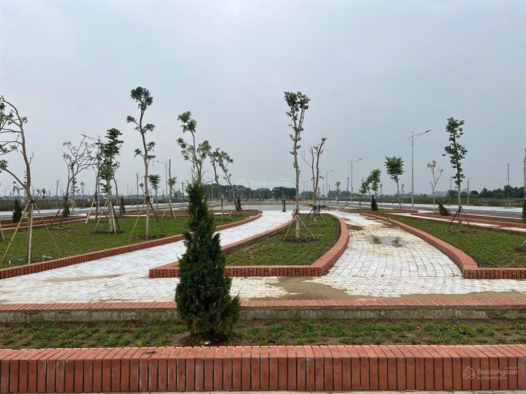 Chính chủ cần bán lô lk14 ô 52 tại mb520 tt. rừng thông, đông sơn, thanh hóa